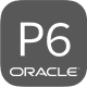 Oracle Primavera P6